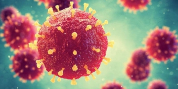 ماهو فيروس ماربورغ وهل سيتحول إلى وباء؟