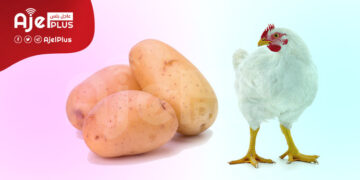 الدجاج والبطاطا الأعلى.. إرتفاع أسعار 128 سلعة في السعودية