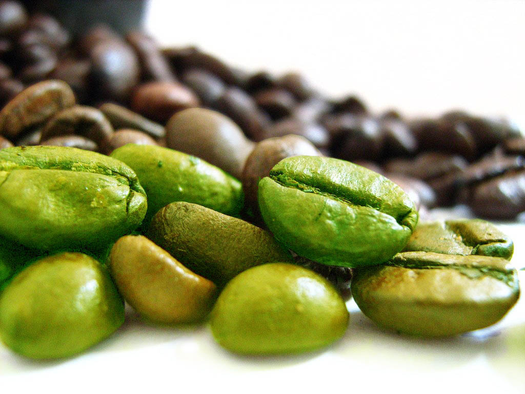 فوائد وأضرار القهوة الخضراء