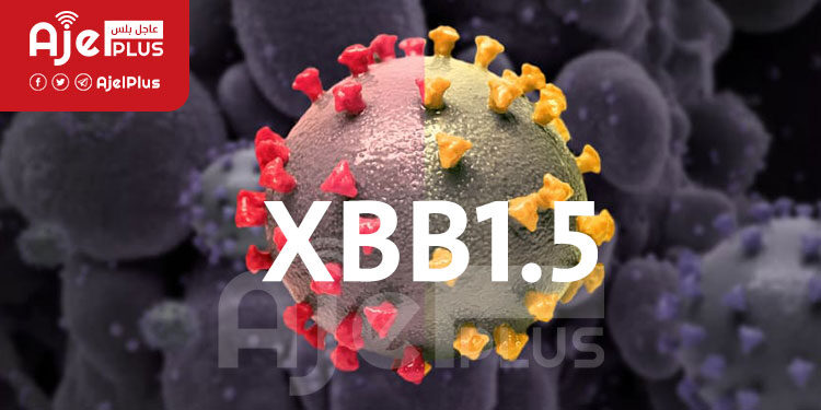 عاجل: إكتشاف متحور XBB.1.5 من كورونا بالكويت