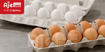 خبر صادم: إرتفاع اسعار البيض عالمياً