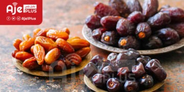 بالصور: تعرّف على أنواع التمور واسمائها