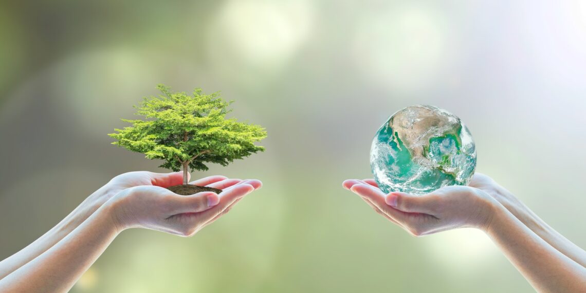 مفهوم الاستدامة في الإمارات