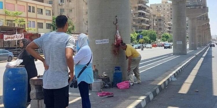 جزار المونوريل ترند المصريين