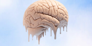 ماهي أفضل الأطعمة للدماغ والذاكرة