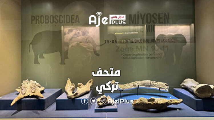متحف تركي يعرض أثريات تاريخية تتجاوز 8 ملايين عام