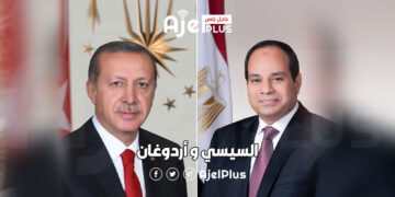 زيارة مرتقبة للرئيس التركي إلى مصر خلال فبراير الحالي